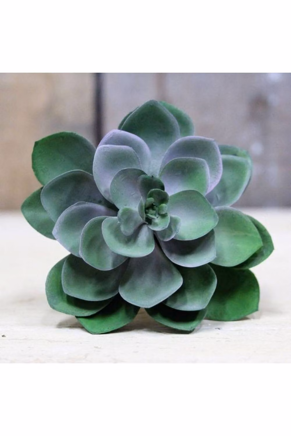 KDMD Green Succulent Pick, 3 Pack, 11 cm – 2