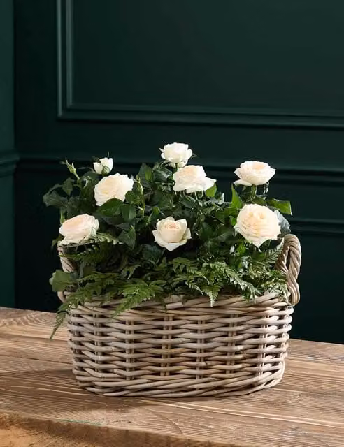 M&S Flower Market Mixed Roses in White Kubu Rattan Basket