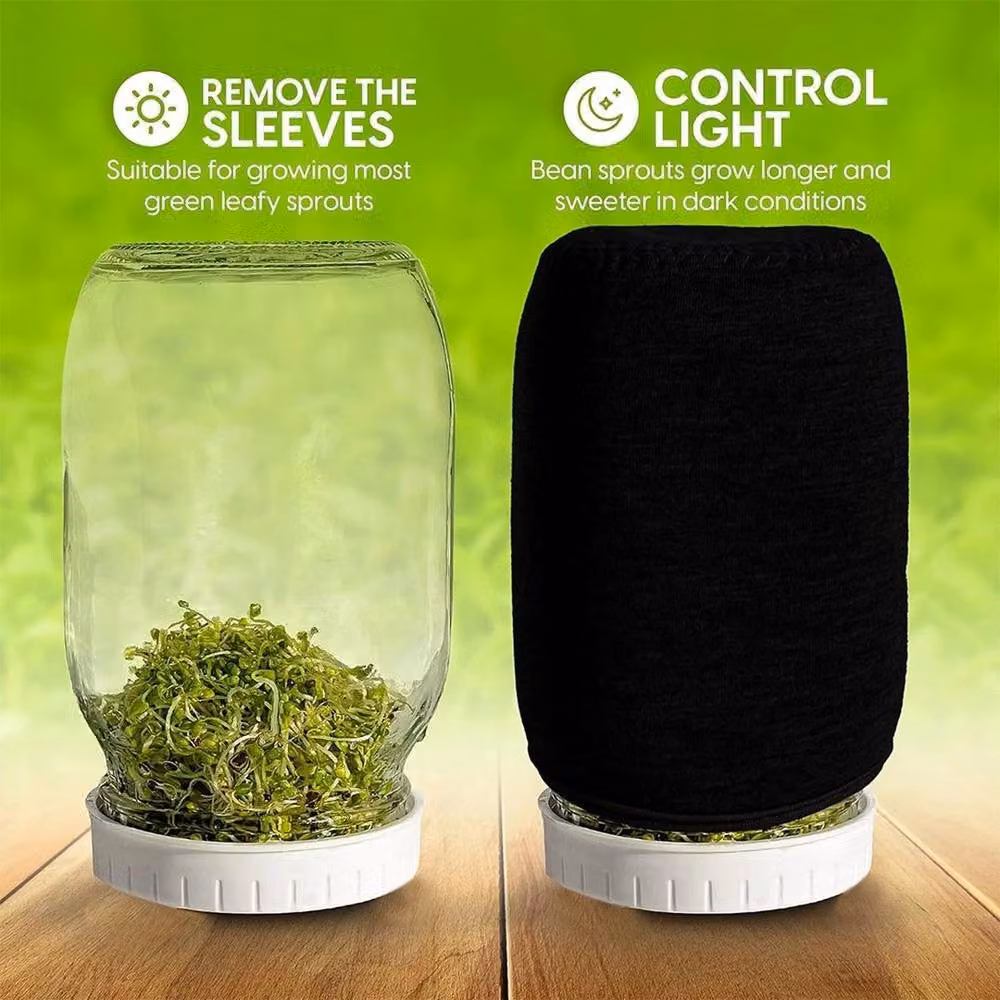 PAWNORA 2-Piece Seed Sprouting Jar Kit with Transparent Glass Jars and Stainless Steel Lids – 3