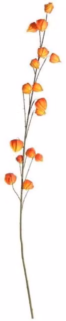 KDMD Botanica Orange Fruit Branch, 144 cm Height