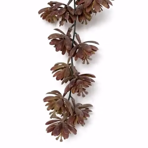 Leaf UK Pack of 6 Artificial Hanging Trailing Sedum Succulent Plants in Brown, 70 cm – 2