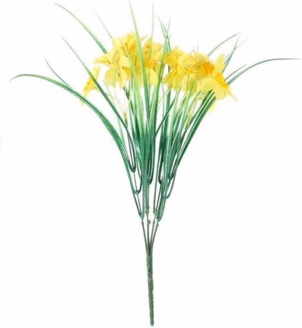 KDMD Essential Yellow Wild Daffodil Bunch 6 Pack