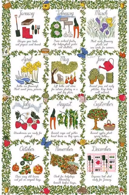 Ulster Weavers Gardeners Calendar Floral Cotton Tea Towel in Green and Multicolour