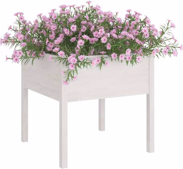 Berkfield Home Garden Planter Set of 2, White, Solid Pinewood, W/D/H: 70 x 70 x 70 cm