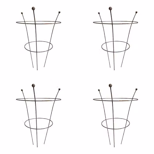 Samuel Alexander Pack of 4 Tom Chambers Herbaceous Rusted Steel Garden Plant Supports in Silver, H 54 cm x W 40 cm – 1