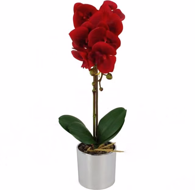 Leaf Design UK Realistic Artificial Red Orchid in a Silver Pot, Height: 46 cm