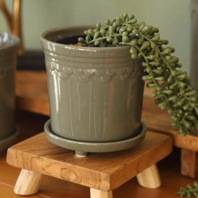 PAWNORA Small Ceramic Sage Green Plant Pot and Planter