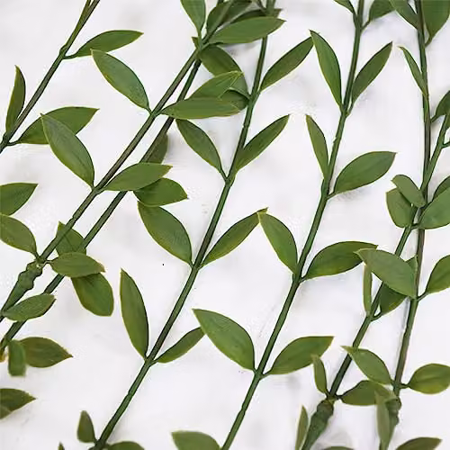 Leaf Pack of 12 Green Artificial Hanging Extra Long String of Pearls Foliage, Length: 120 cm – 2