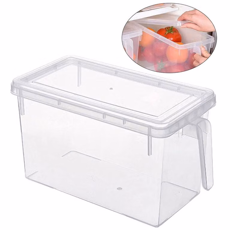 SPETLEK Set of 4 Clear Plastic Fridge Food Storage Containers with Lids