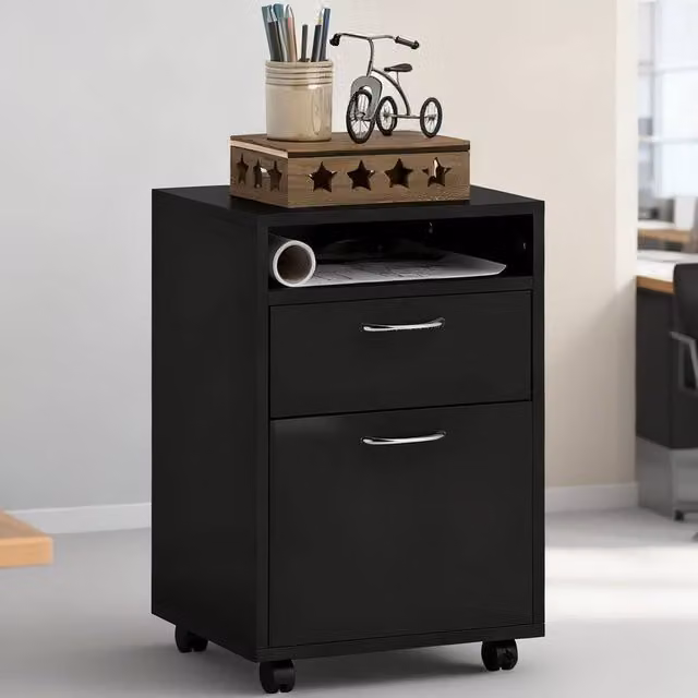ERGOVEXA Mobile Filing Cabinet with 2 Drawers and Lock, Black