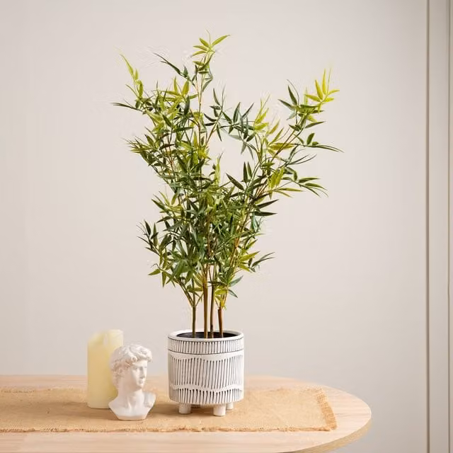 Scottish Everlastings Ltd 75cm Mini-leaf Bamboo Tree in Green and Black