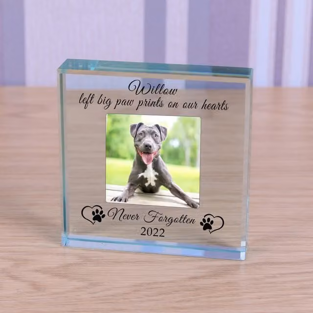 Uniqueful Personalised Never Forgotten Pet Memory Glass Token Sympathy Gift in Transparent and Beige