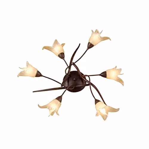 Netlighting Florida 6 Light Ceiling Lamp, Brown and Black Oxide with Glass, E14