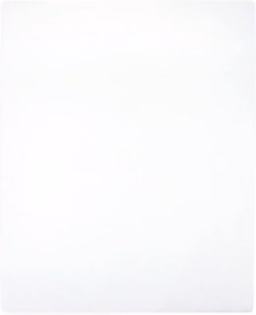Berkfield Home White Cotton Jersey Fitted Sheets, 2 Pack, W: 160 cm, D: 200 cm
