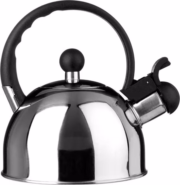 Orsina Silver Stainless Steel Mirror Finish Whistling Kettle