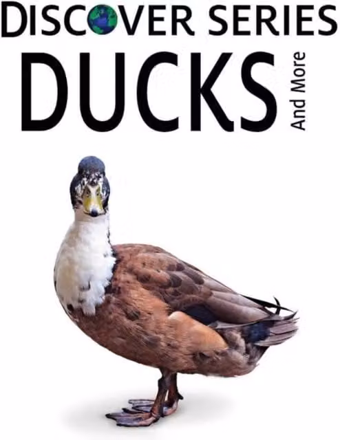 Ducks Paperback Book by Xist Publishing, Multicolour