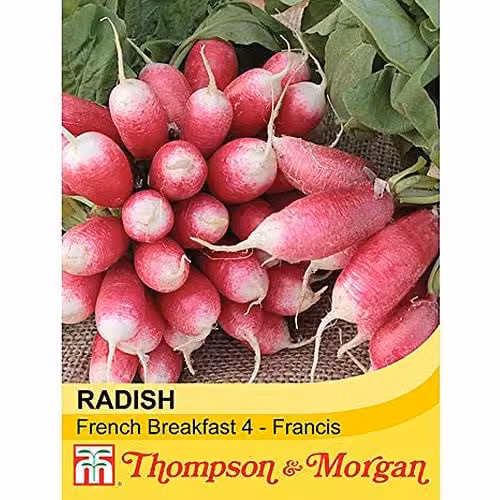 Thompson and Morgan French Breakfast 4 Radish Seeds, 400 Seeds per Packet