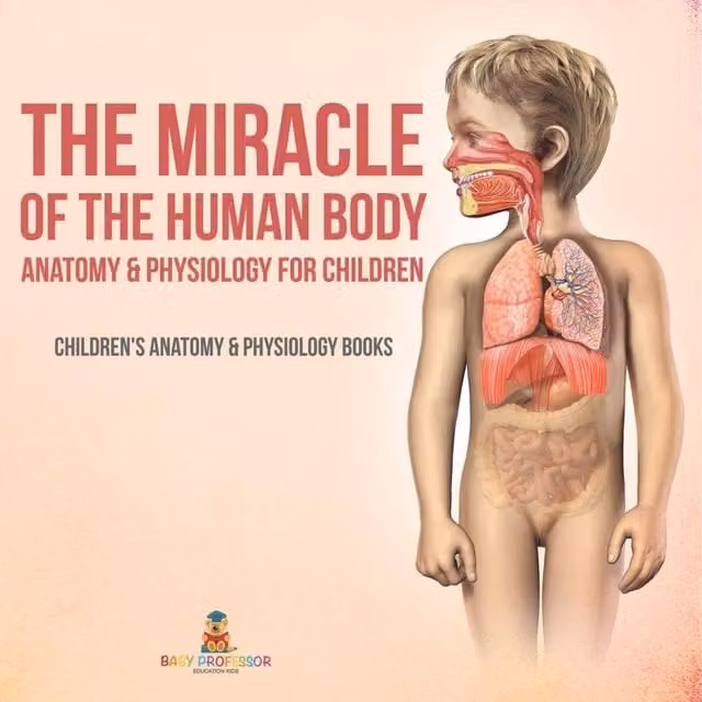 Baby Professor The Miracle of the Human Body: Anatomy and Physiology for Children, Multicolour