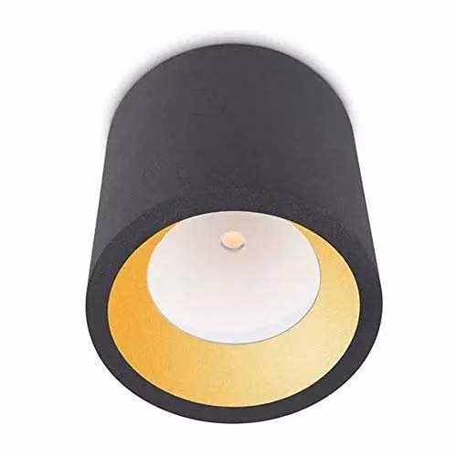 Netlighting Cosmos LED Outdoor Surface Mounted Ceiling Light in Grey with Glass Cylinder Design IP65