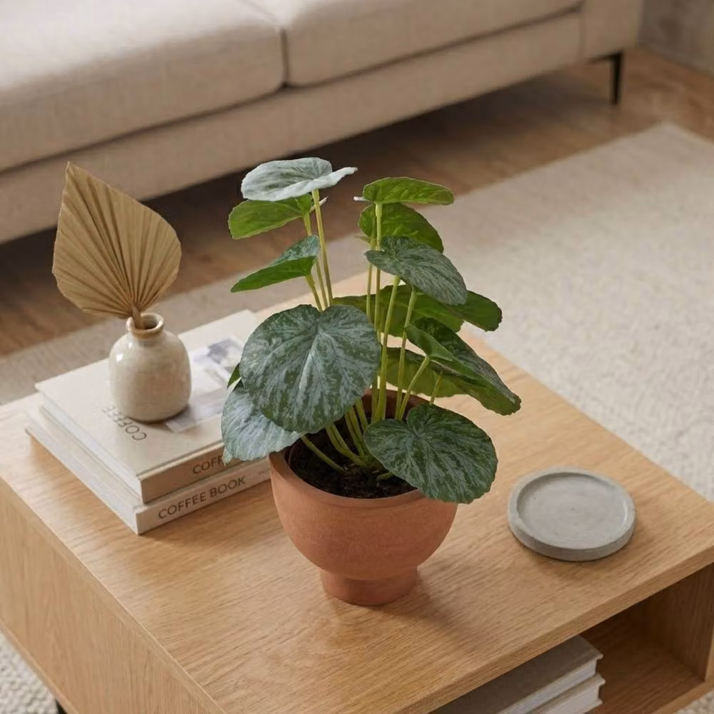 Garden Greatness Artificial Chinese Money Plant in a Green Ceramic Pot – 2