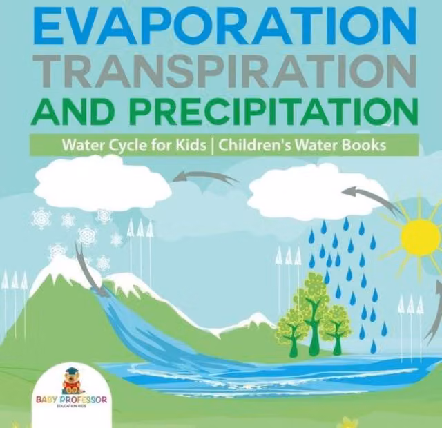 Baby Professor Evaporation, Transpiration and Precipitation Water Cycle Educational Kit for Kids, Multicolour