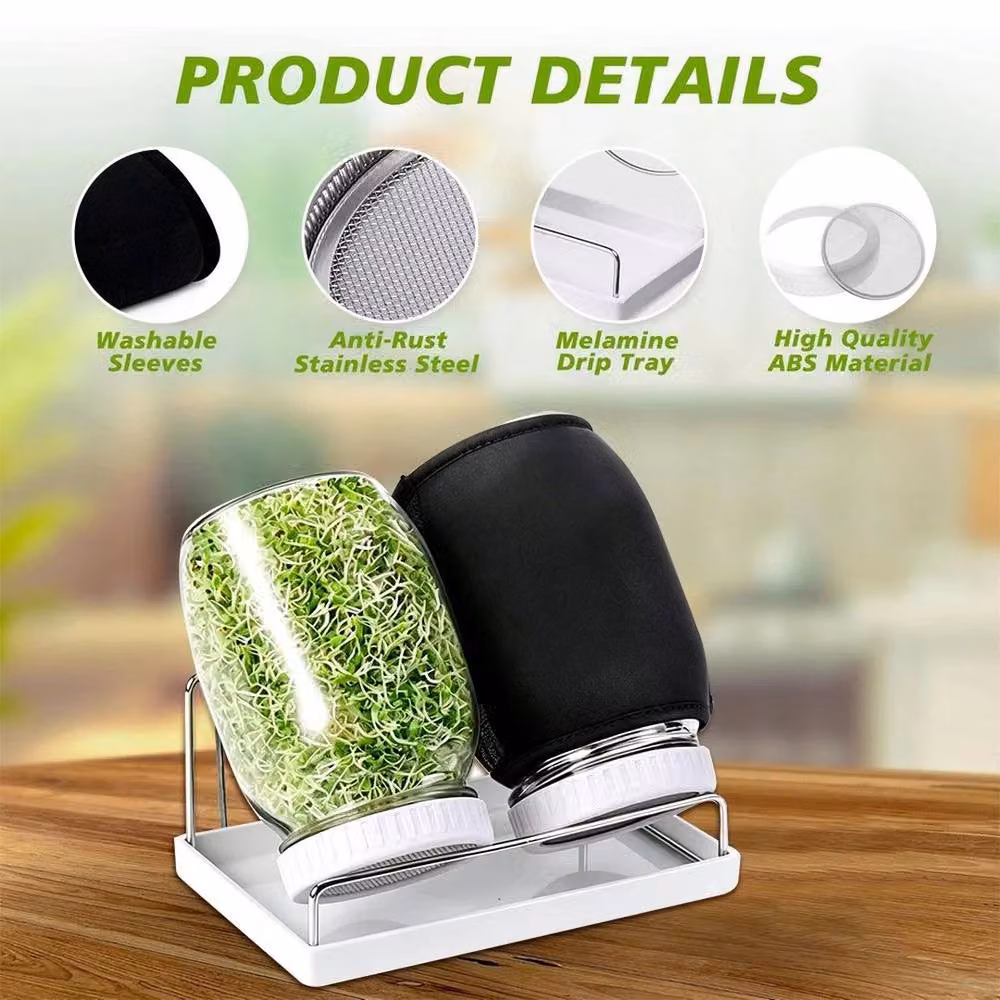 PAWNORA 2-Piece Seed Sprouting Jar Kit with Transparent Glass Jars and Stainless Steel Lids – 2
