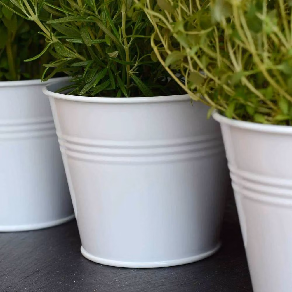 Kelvenix Metal Herb Pots with Tray Set in White – 3