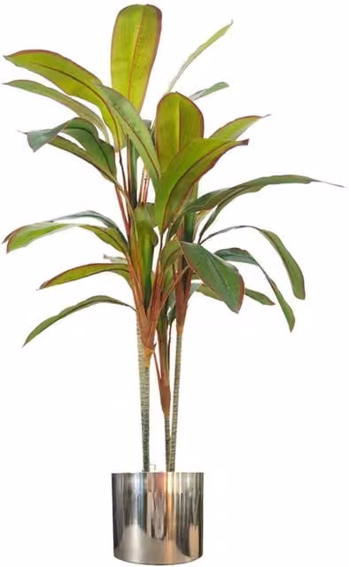 Artificial Green Dracaena Tropical Potted Plant with Silver Metal Planter