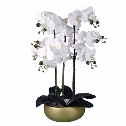 Botanik 60cm Artificial Orchid in a White and Gold Ceramic Planter with Green Leaves – 1