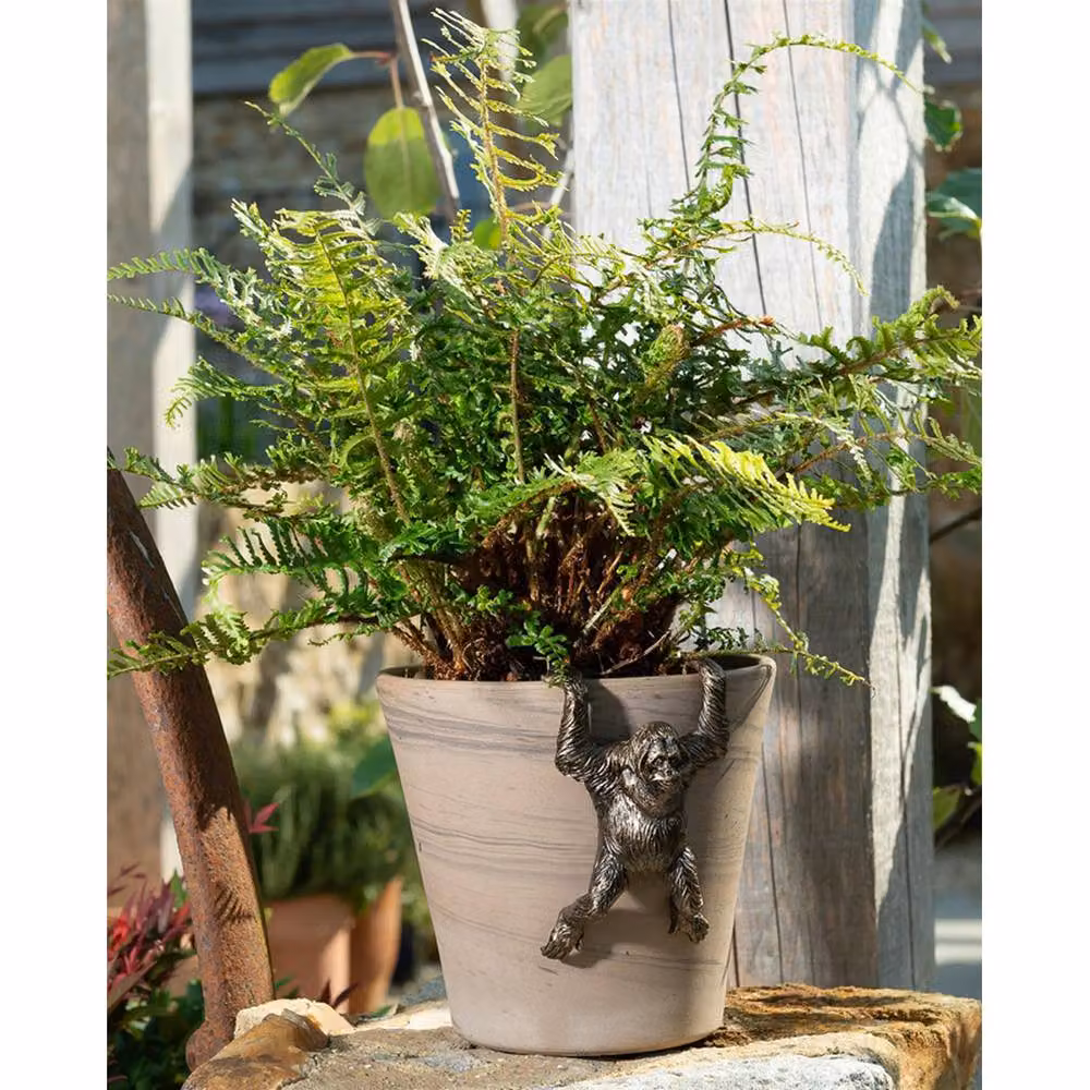 Jardinopia Orangutan Hanging Plant Pot Hanger, Bronze, L11.5 x W7 x H5.5 cm – 5