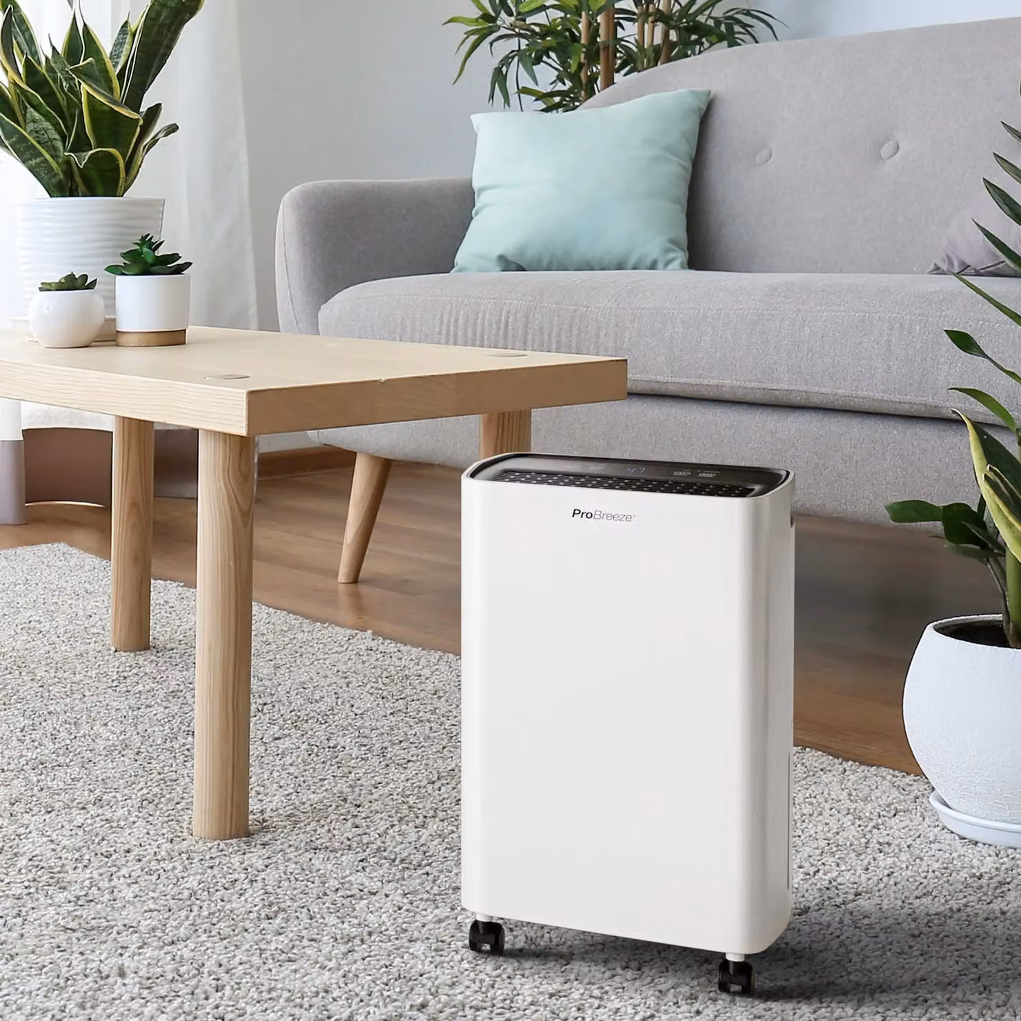 Pro Breeze 12L Low Energy Compact Dehumidifier, White – 2