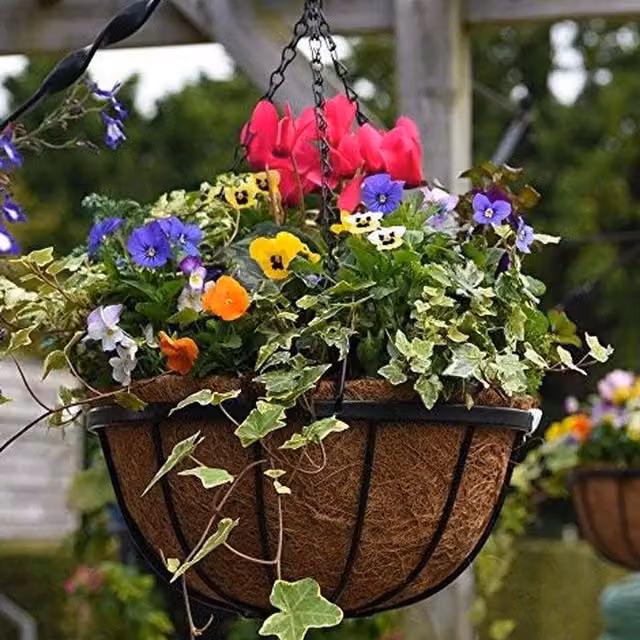 Thompson & Morgan Black Metal Garden Hanging Baskets with Coco Liners, Pack of 6
