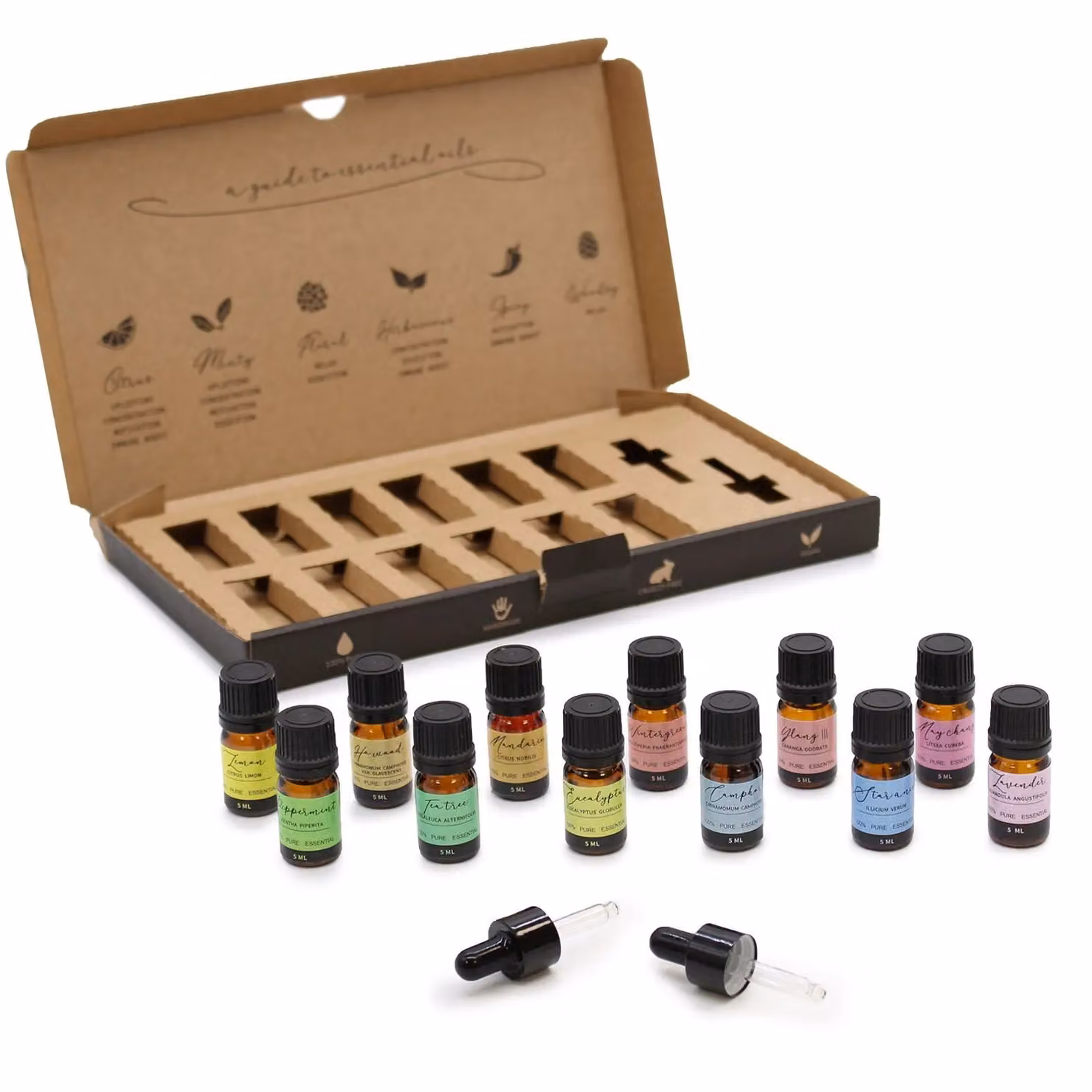 KDMD Aromatherapy Essential Oil Starter Pack in Silver – 5