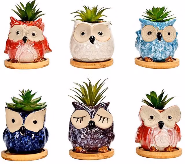 Simpa 6-Piece Multicolour Cartoon Owl Ceramic Plant Pots with Wood Bases, H 7.3 cm x Dia 7.3 cm