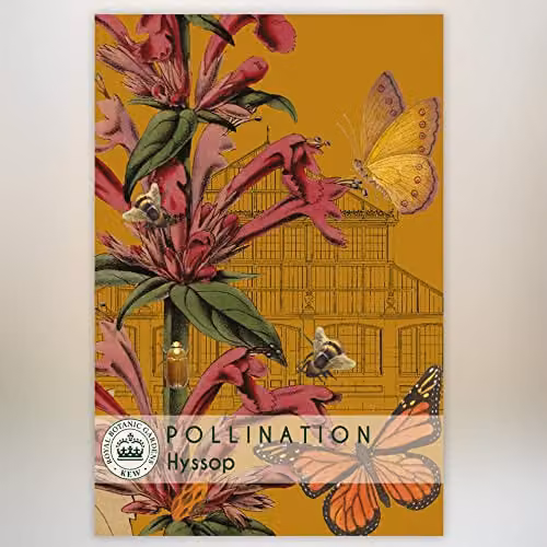 Thompson and Morgan Hyssopus officinalis Tricolour Mixed Kew Pollination Collection Herb Seeds, Approx. 150 Seeds, Multicolour