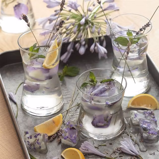 LAV Derin Highball Tumbler Glasses, Pack of 6, Transparent, 350ml