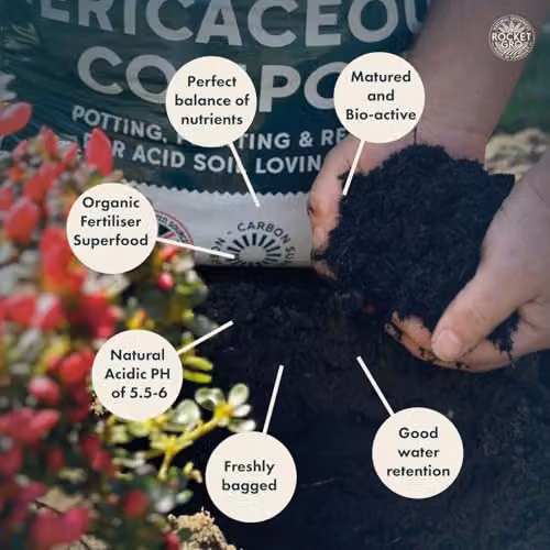 RocketGro Ericaceous Peat-Free Compost, 20L – 4