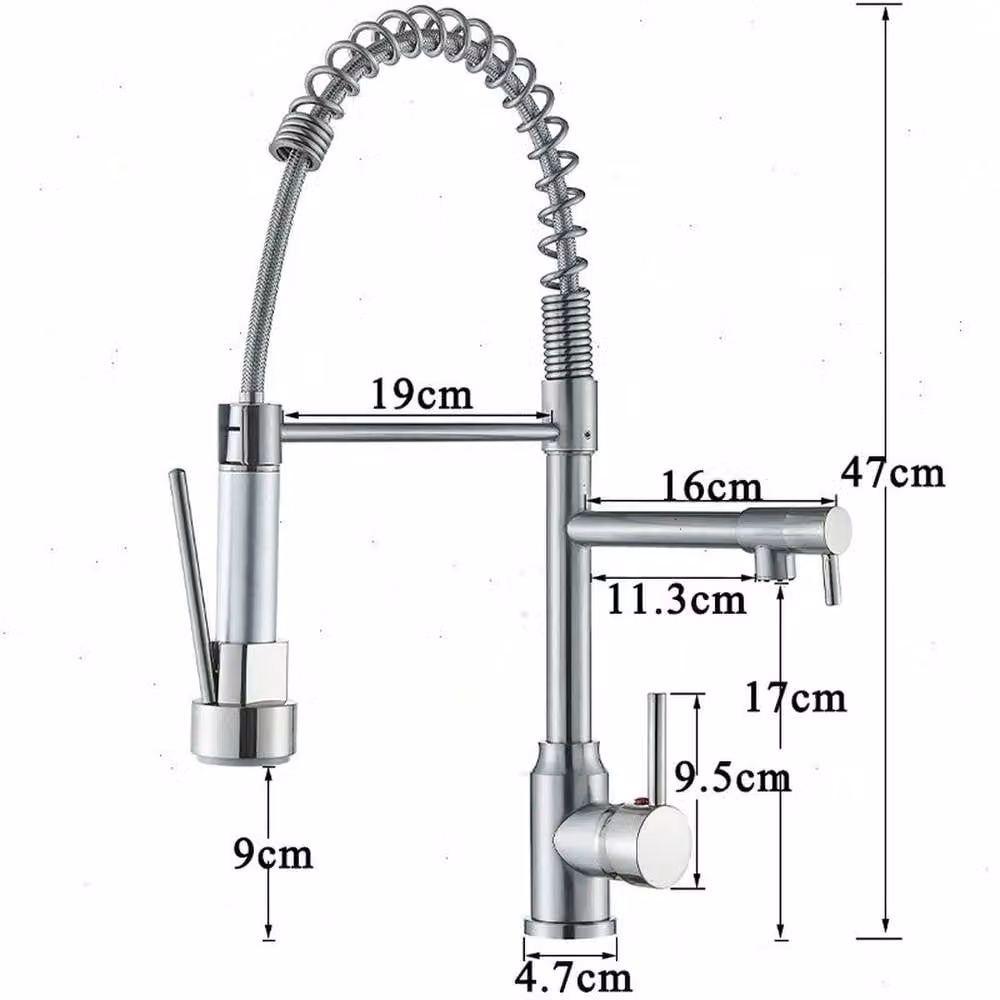 Kelvenix Single Lever Pull Out Kitchen Mixer Tap with Dual Spout Spray in Silver – 2