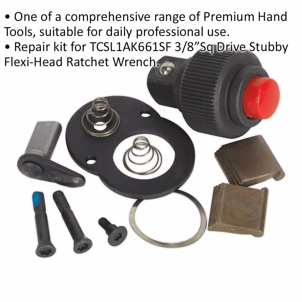 Loops 3/8 Inch Sq Drive Repair Kit for ys01586 72-Tooth Ratchet Wrench, Multicolour – 2