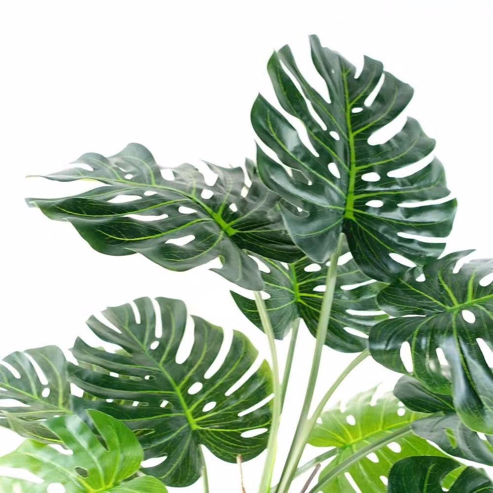 Leaf Design UK Artificial Luxury Monstera Cheese Plant in a Black Pot, Green, Height: 150 cm – 12