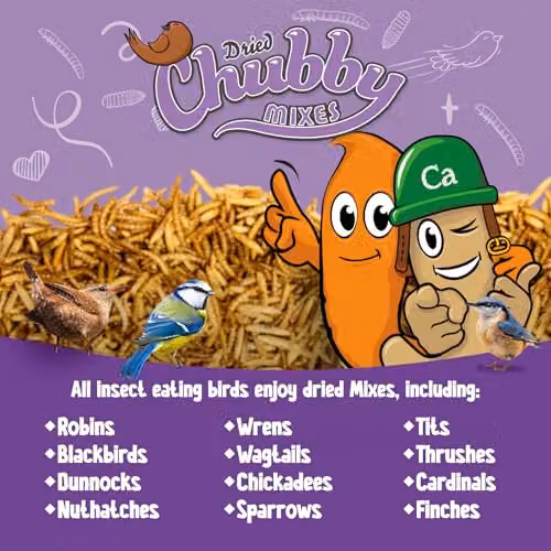 Chubby Mealworms Dried Mealworm and Calci Worm Mix, 5 Litre Protein and Calcium-Rich Treat for Birds, Reptiles and Small Pets – 2