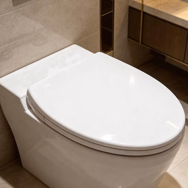 SINOBATH Antibacterial Duroplast Soft-Close Toilet Seat in White – 1