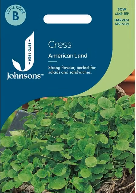 Johnsons Seeds American Land Cress Vegetable Seeds