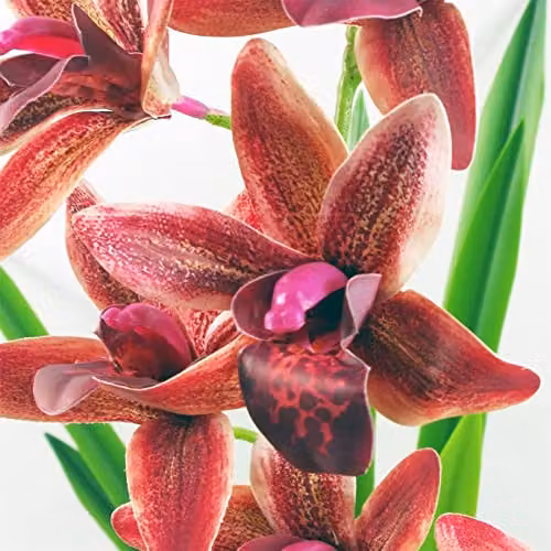 Leaf Dark Pink Artificial Orchid in Ceramic Planter, Height: 50 cm – 3
