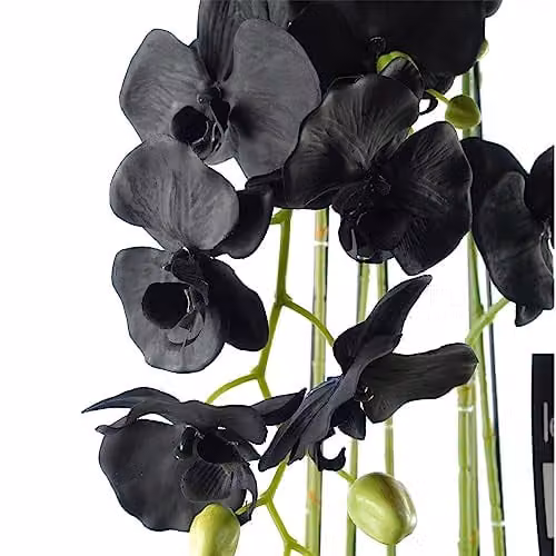 Leaf Design UK Realistic Artificial Black Orchid Plant with 41 Real Touch Flowers in Green Pot, Height: 110 cm – 2