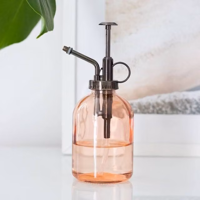 Uniqueful Pink Minimalist Glass Plant Mister