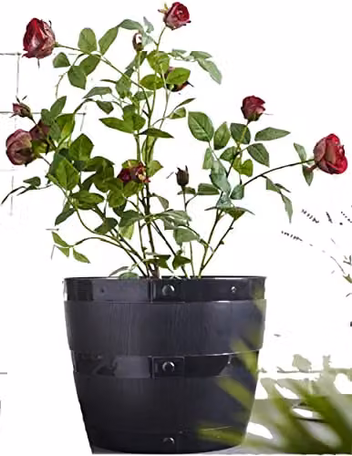 Whitefurze Set of 2 Black Plastic Barrel Planter Tubs, Diameter: 50 cm – 5