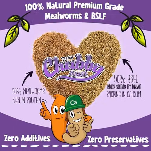 Chubby Mealworms Dried Mealworm and Calci Worm Mix, 5 Litre Protein and Calcium-Rich Treat for Birds, Reptiles and Small Pets – 4