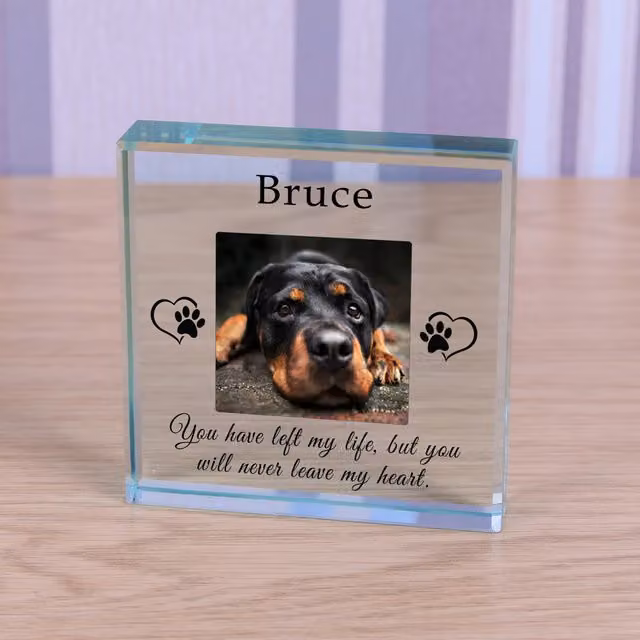 Uniqueful Personalised Never Leave My Heart Pet Memory Glass Token in Transparent and Beige