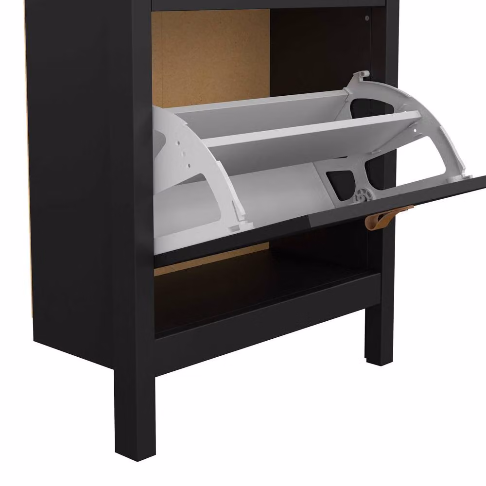 Wyld Haus Wildberry Matt Black Wooden Shoe Cabinet with 2 Tilting Doors – 3